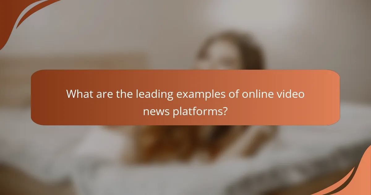 What are the leading examples of online video news platforms?